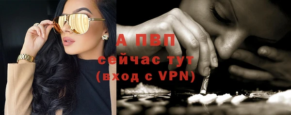 круглые Абаза