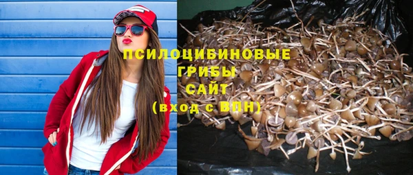 МДПВ Абинск
