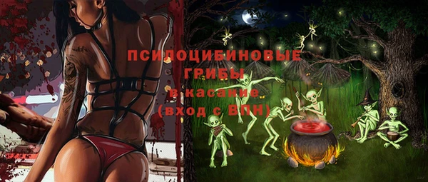 круглые Абаза