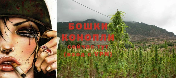круглые Абаза