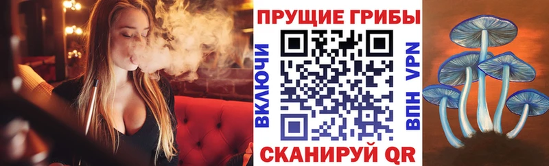 Галлюциногенные грибы Psilocybe  Усмань 